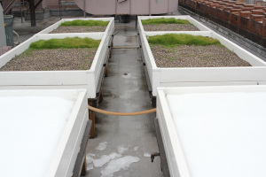 Heated Green Roofs NYC project